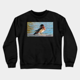 Wood Duck Posing Next To a Pond Crewneck Sweatshirt